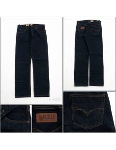 Celana Panjang Jeans Reguler Fit Cowok Gabrielle 29-36